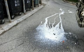 Общество