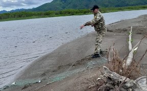 Происшествия