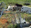 Поисковики нашли место падения фронтового бомбардировщика Ту-2