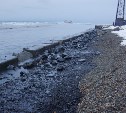 Нефтепродукты из севшего на мель у берега Сахалина танкера угрожают лежбищу сивучей