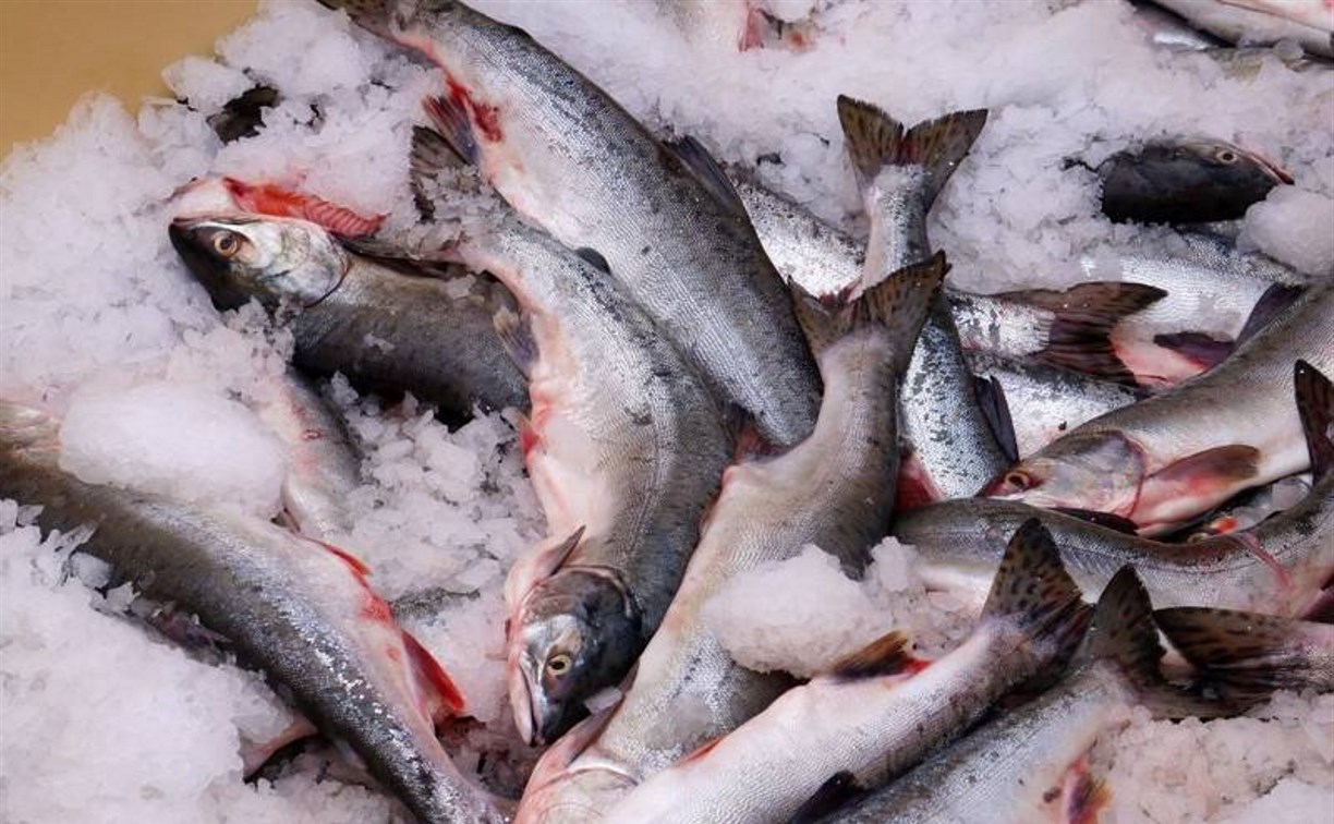 Курс цен на рыбу в Сахалинской области теперь можно проверить в интернете