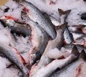 Курс цен на рыбу в Сахалинской области теперь можно проверить в интернете