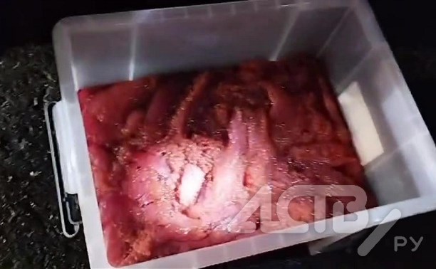 Икру на полмиллиона рублей обнаружили в автомобиле 34-летнего сахалинца