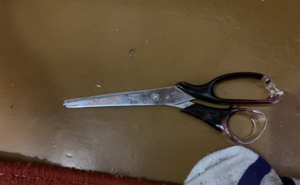 Жительница Холмска порезала сожителя ножницами и добила ножом