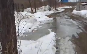 Общество