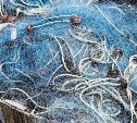 Курильчанин лишился автомобиля из-за 7 хвостов симы
