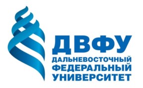 Общество