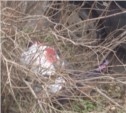 Окровавленный мужчина лежал в кустах после драки в Южно-Сахалинске (ФОТО)