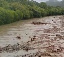 "Первый раз такое вижу": мощный грязевой поток вместо реки сняли на видео сахалинцы