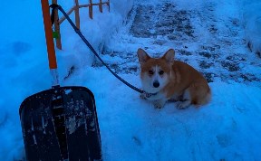 Общество