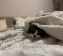 Оха осталась без отопления из-за порыва на сетях 