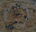 Раковины позволили археологам СахГУ сделать интересную научную находку