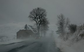 Общество