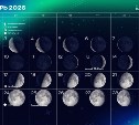 Сахалинцы смогут увидеть до 15 метеоров в час в ночь на 18 ноября