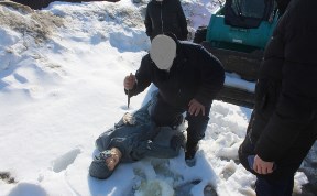 Происшествия