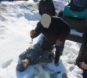Убийство в котловане на стройке 22-летней давности раскрыли в Южно-Сахалинске