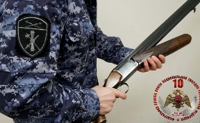 Происшествия