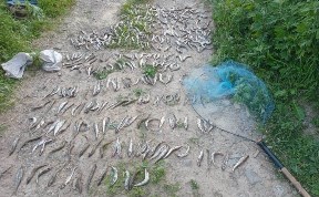 Происшествия