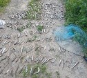У браконьеров на Сахалине изъяли 10 транспортных средств