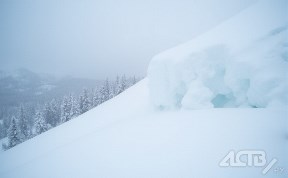 Общество