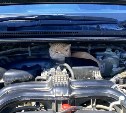 "Сидит и улыбается": сахалинец решил проверить масло в авто и нашёл под капотом рыжего кота