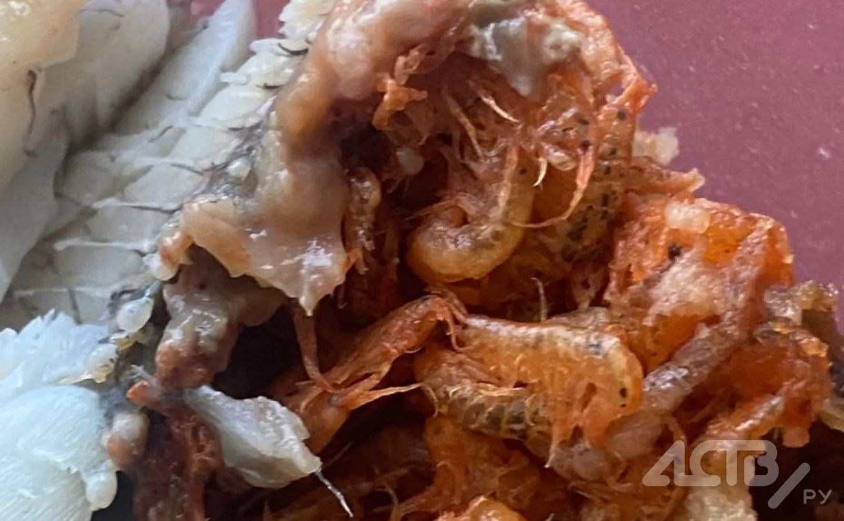 Сахалинка купила на рынке навагу, набитую "креветками"