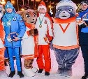 Сахалинская область поднялась на второе место в медальном зачете игр "Дети Азии"