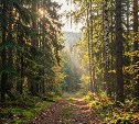 В Южно-Сахалинске 5 сентября: сухо и до +25°