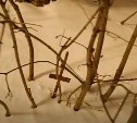Опасная арматура спряталась под снегом в Южно-Сахалинске