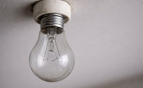 Общество