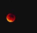 В начале ноября во время полного затмения сахалинцы увидят, как Луна окрасится в кровавый цвет