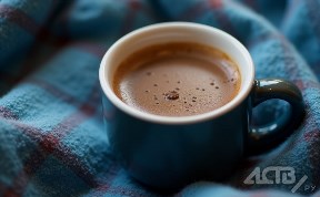 Общество