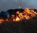 Больше 30 человек борются с огнем возле садового товарищества «Путеец»