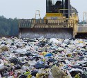 Прокуратура заставила власти Невельска установить площадки для сбора мусора в Амурском 