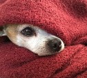 Несколько домов в Южно-Сахалинске 4 июня останутся без отопления