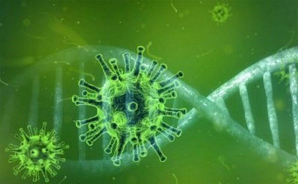 За сутки в Сахалинской области коронавирус подтвердился у 35 человек