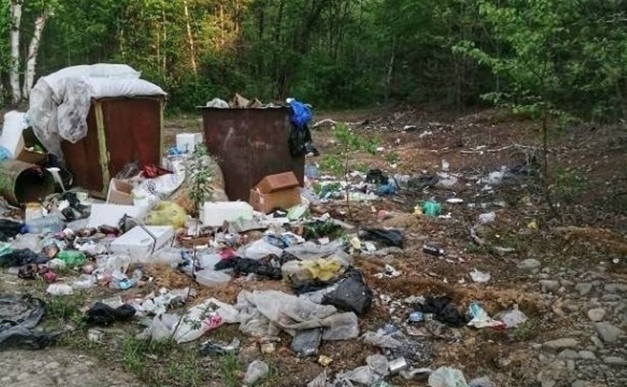 Стихийную свалку в Поронайском районе вывезут вместе с мусорными баками