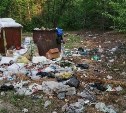 Стихийную свалку в Поронайском районе вывезут вместе с мусорными баками