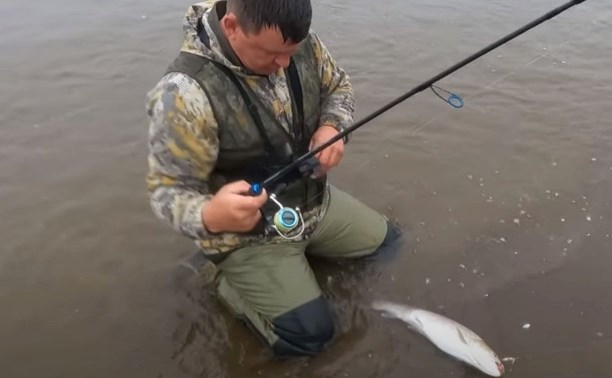 Двое рыбаков летели через всю Россию, чтобы отпустить улов на Сахалине