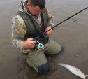 Двое рыбаков летели через всю Россию, чтобы отпустить улов на Сахалине