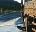 Внедорожник столкнулся с тягачом на трассе в Долинском районе 