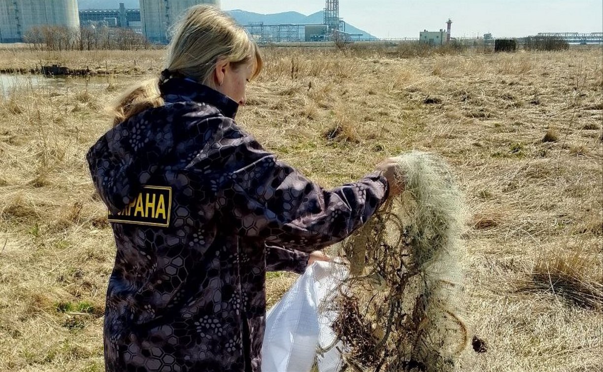 32 протокола о нарушениях "заработали" сахалинские рыбаки за неделю - СКТУ
