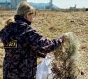 32 протокола о нарушениях "заработали" сахалинские рыбаки за неделю - СКТУ