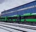 Первые автобусы для Южно-Сахалинска должны прийти в Ванино в апреле