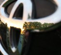 Toyota отзывает больше 20 тысяч автомобилей из-за проблем с подушками безопасности 