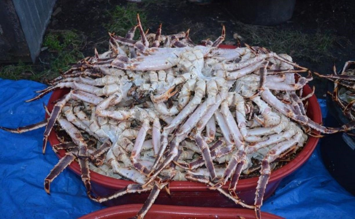 Рыбоохрана задержала на Сахалине браконьеров с камчатскими крабами на полмиллиона рублей