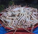 Рыбоохрана задержала на Сахалине браконьеров с камчатскими крабами на полмиллиона рублей