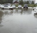Ноев ковчег скоро начнут строить жители новостройки в Луговом