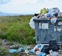 За неправильно выброшенный мусор оштрафуют на 200 тысяч рублей