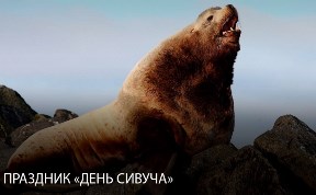 Культура